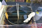 摘錄文章圖片 摘錄文章圖片