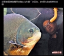 摘錄文章圖片 摘錄文章圖片
